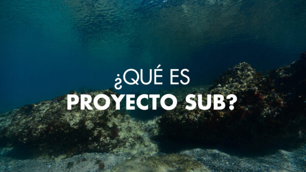 ProyectoSub - MERAKI